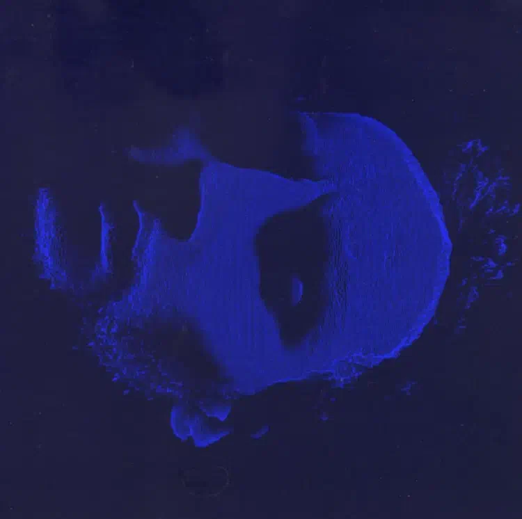 Fern - Fern (2017)