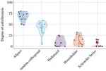 The Role of Modal Excitation in Colorless Reverberation